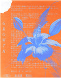 'GROWTH" Vintage Flower Poster Abstract
