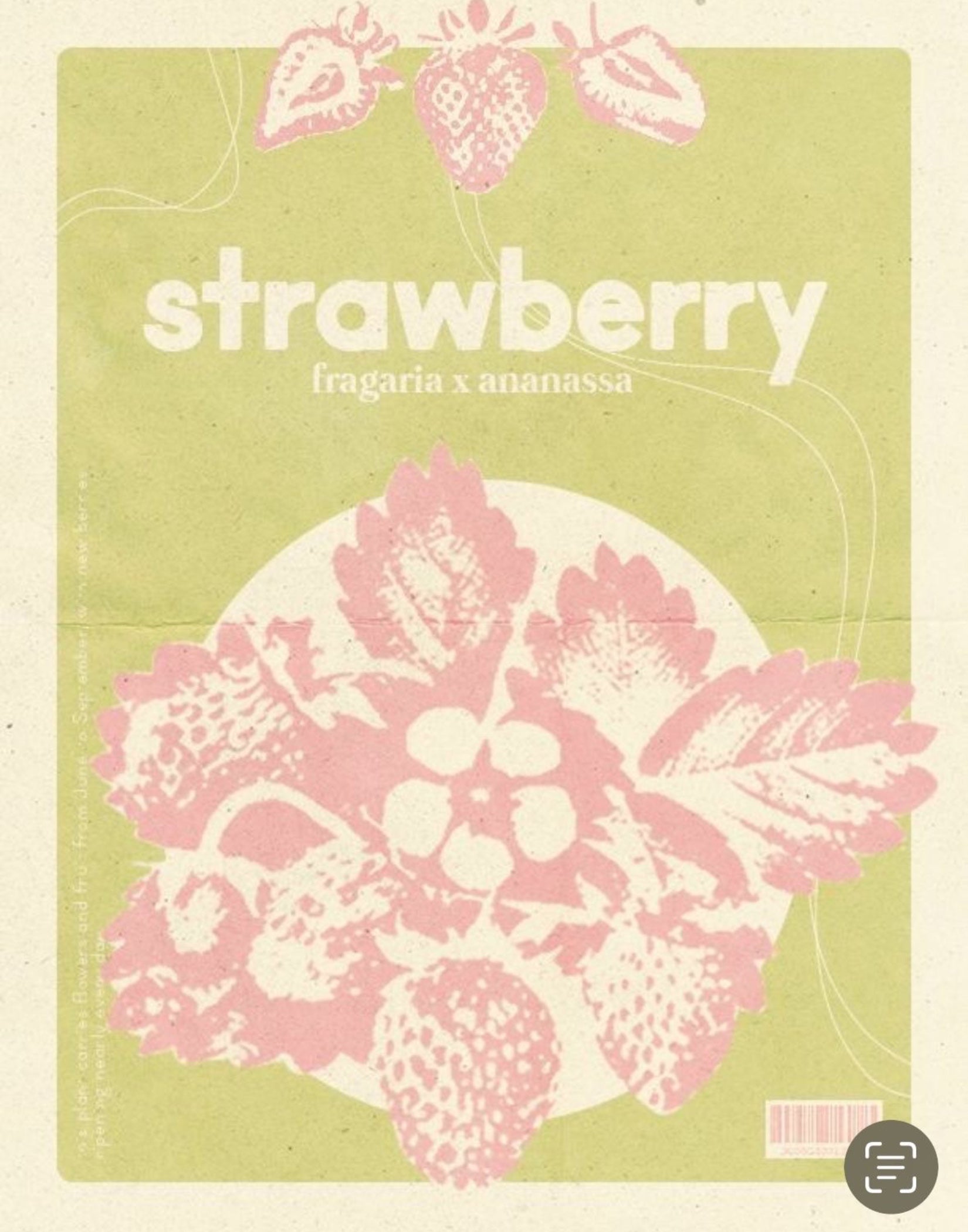 Cute Strawberry Poster Modern