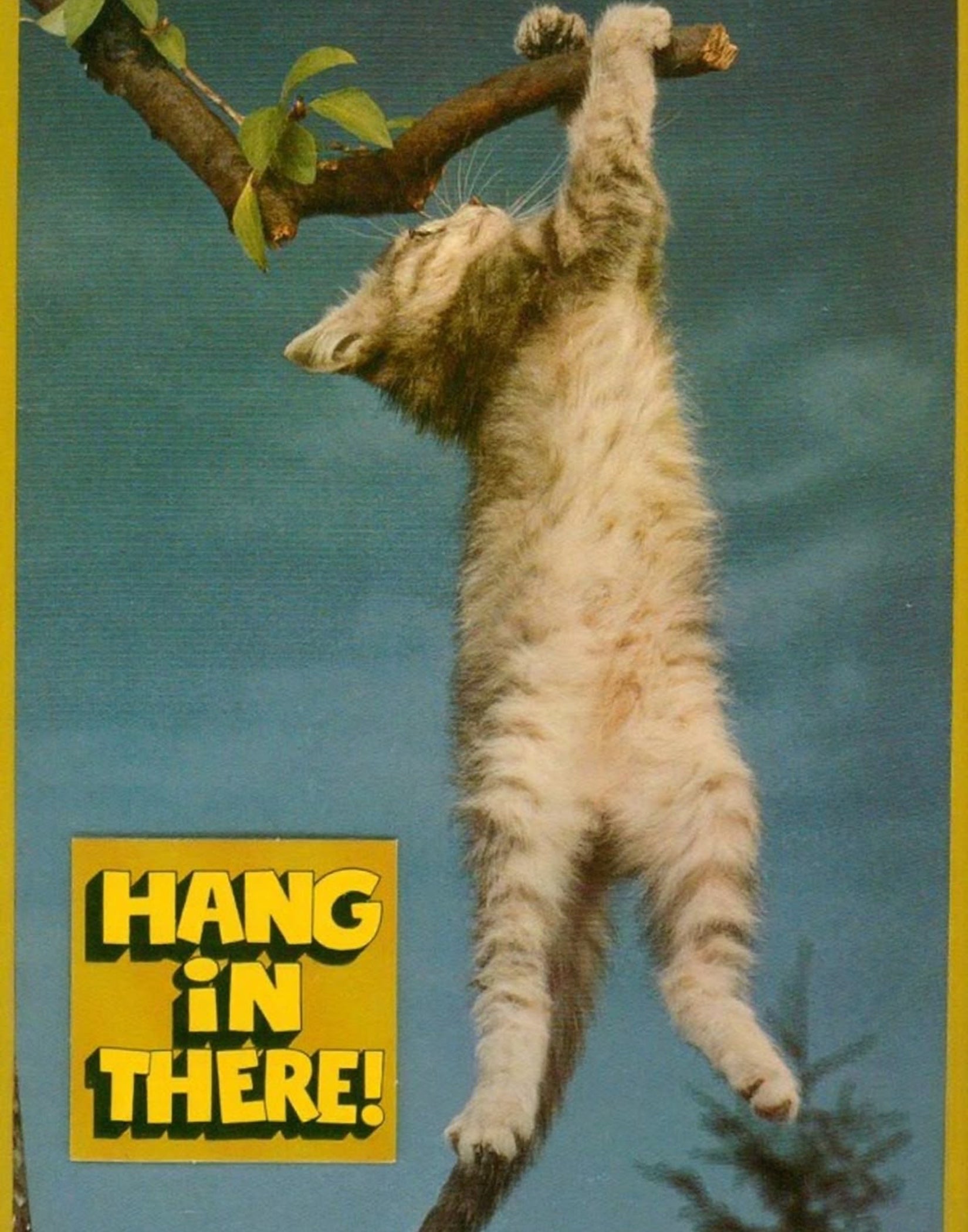 ‘Hang In There’ Retro Cat Poster Vintage